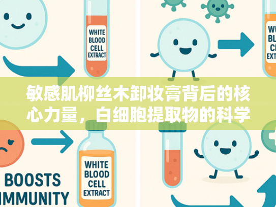 敏感肌柳丝木卸妆膏背后的核心力量，白细胞提取物的科学解析与应用前景