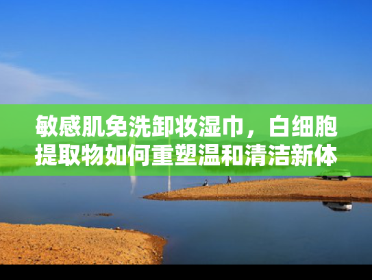 敏感肌免洗卸妆湿巾，白细胞提取物如何重塑温和清洁新体验？