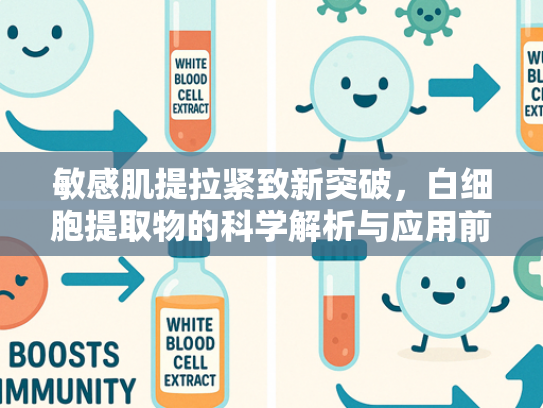 敏感肌提拉紧致新突破，白细胞提取物的科学解析与应用前景