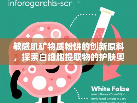 敏感肌矿物质粉饼的创新原料，探索白细胞提取物的护肤奥秘