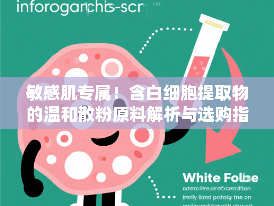 敏感肌专属！含白细胞提取物的温和散粉原料解析与选购指南