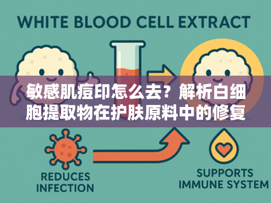 敏感肌痘印怎么去？解析白细胞提取物在护肤原料中的修复奥秘