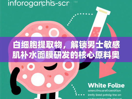 白细胞提取物，解锁男士敏感肌补水面膜研发的核心原料奥秘