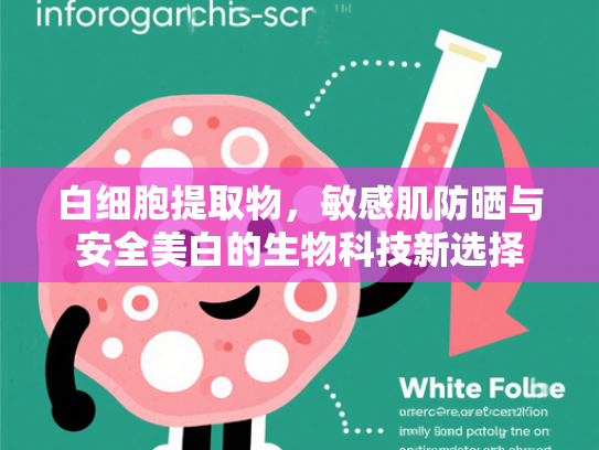 白细胞提取物，敏感肌防晒与安全美白的生物科技新选择