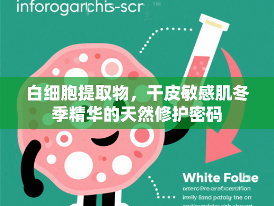 白细胞提取物，干皮敏感肌冬季精华的天然修护密码