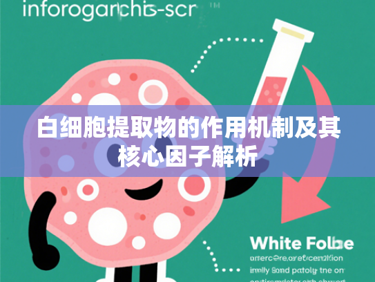 白细胞提取物的作用机制及其核心因子解析