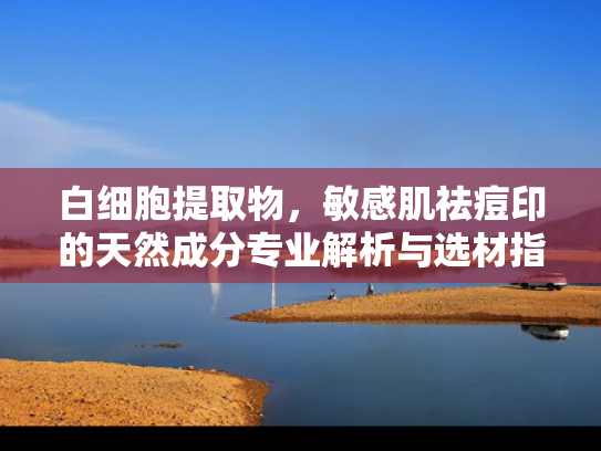 白细胞提取物，敏感肌祛痘印的天然成分专业解析与选材指南