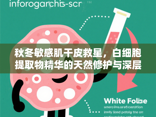 秋冬敏感肌干皮救星，白细胞提取物精华的天然修护与深层滋养