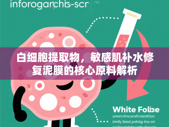 白细胞提取物，敏感肌补水修复泥膜的核心原料解析