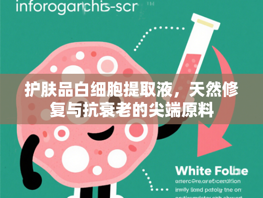 护肤品白细胞提取液，天然修复与抗衰老的尖端原料