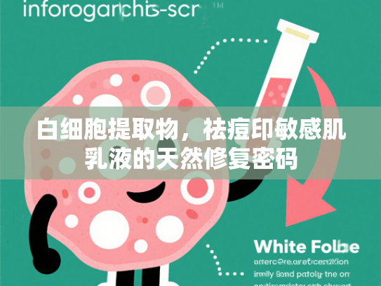 白细胞提取物，祛痘印敏感肌乳液的天然修复密码
