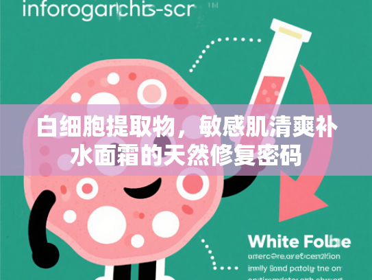 白细胞提取物，敏感肌清爽补水面霜的天然修复密码