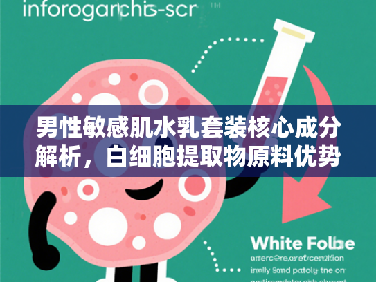 男性敏感肌水乳套装核心成分解析，白细胞提取物原料优势与批发指南