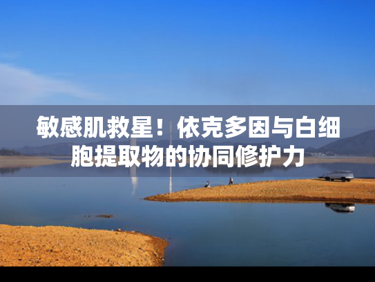 敏感肌救星!依克多因与白细胞提取物的协同修护力 敏感肌救星!依克多因与白细胞提取物的协同修护力