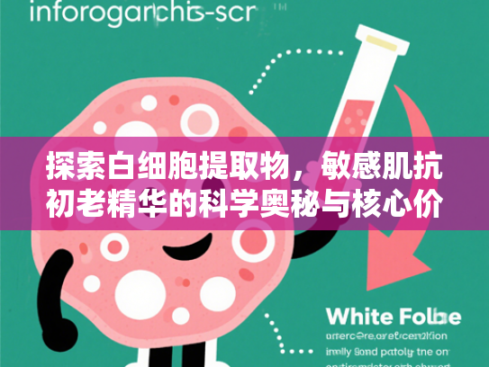 探索白细胞提取物，敏感肌抗初老精华的科学奥秘与核心价值
